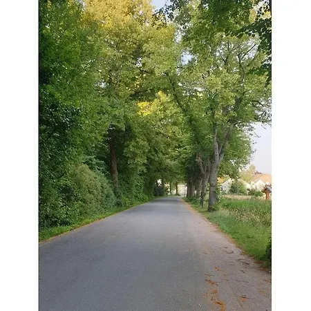 On The Lindenallee * Bad Rothenfelde